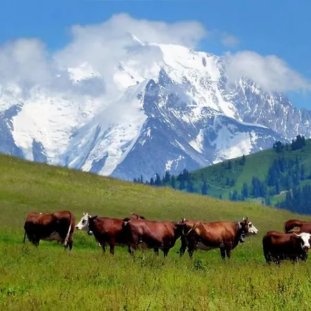 아파트 Coeur Des Alpes 꽁블루